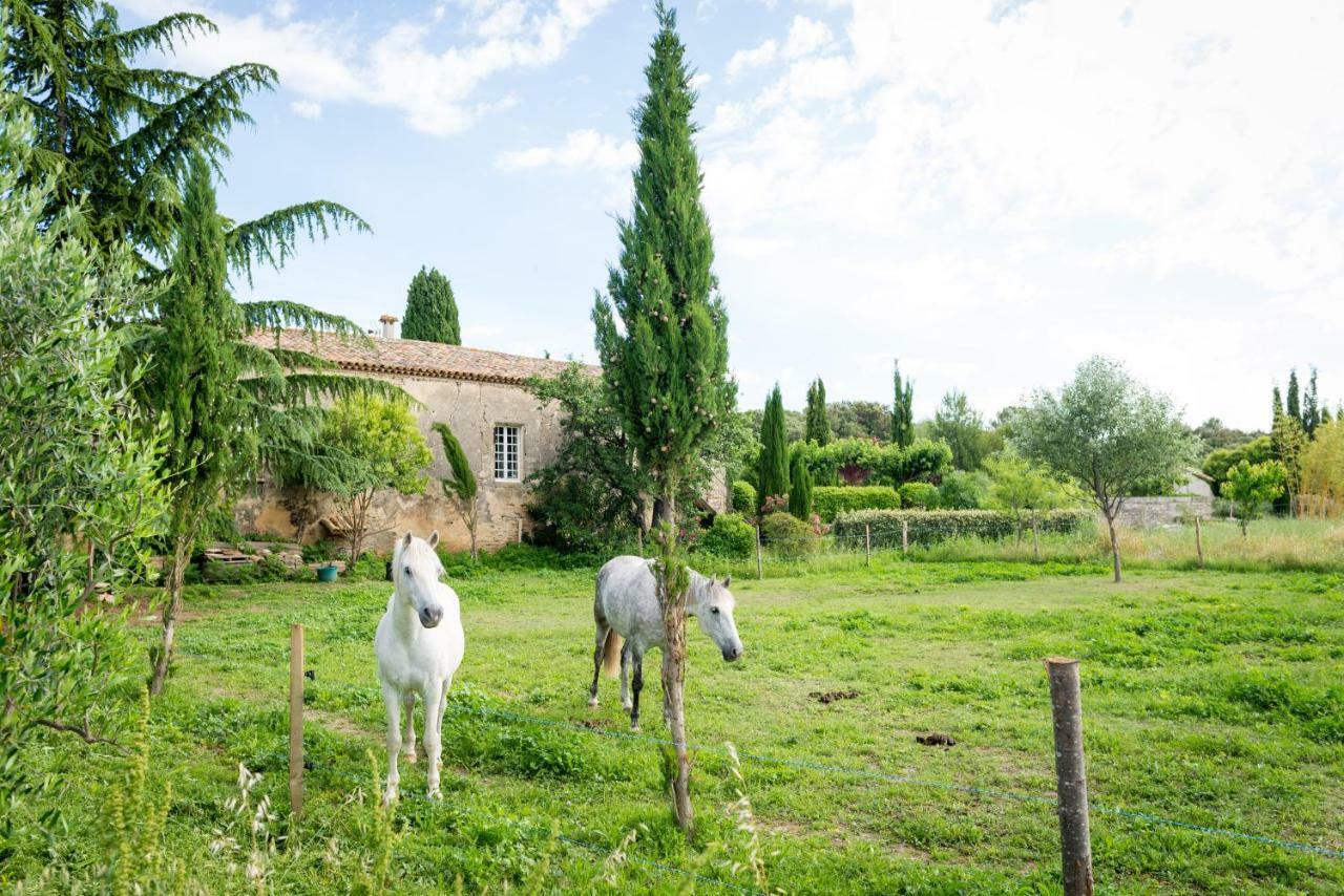 Mas De La Rivoire B&B Villevieille Exterior photo